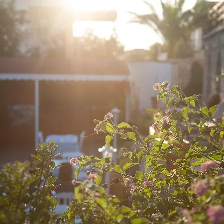 Ξενοδοχείο Sunset Κας